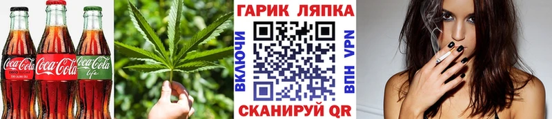Canna-Cookies марихуана  Купить где  Михайлов 