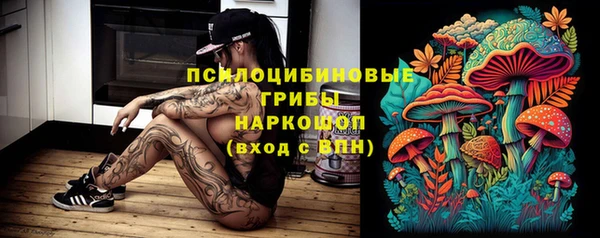 ПСИЛОЦИБИНОВЫЕ ГРИБЫ Бронницы