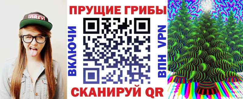 Псилоцибиновые грибы MAGIC MUSHROOMS Купить закладки Михайлов