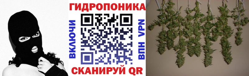 Купить закладки  Михайлов  Каннабис VHQ 